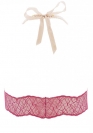 Bracli Perizoma BRALETTE 25